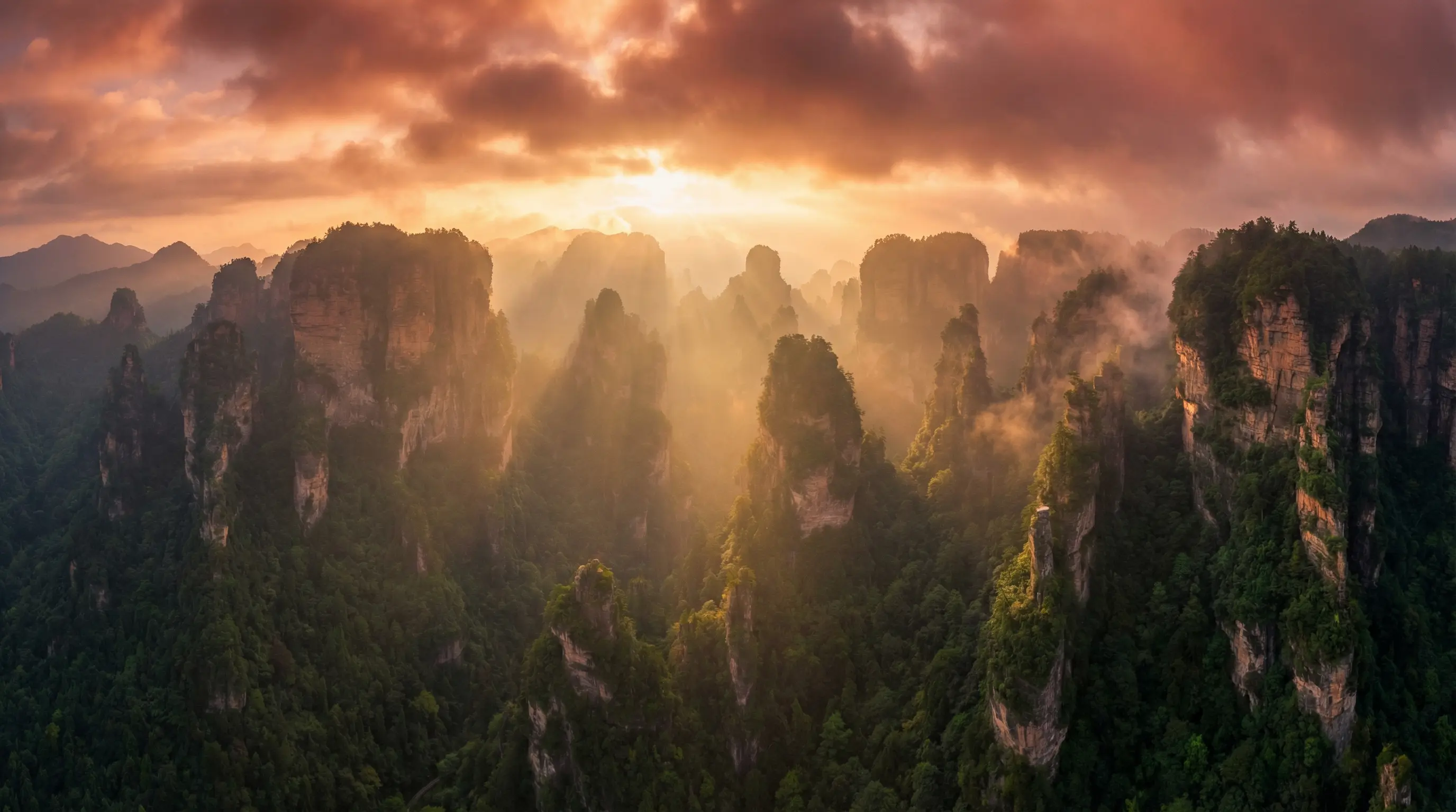 音为爱下载 自然风光视频封面